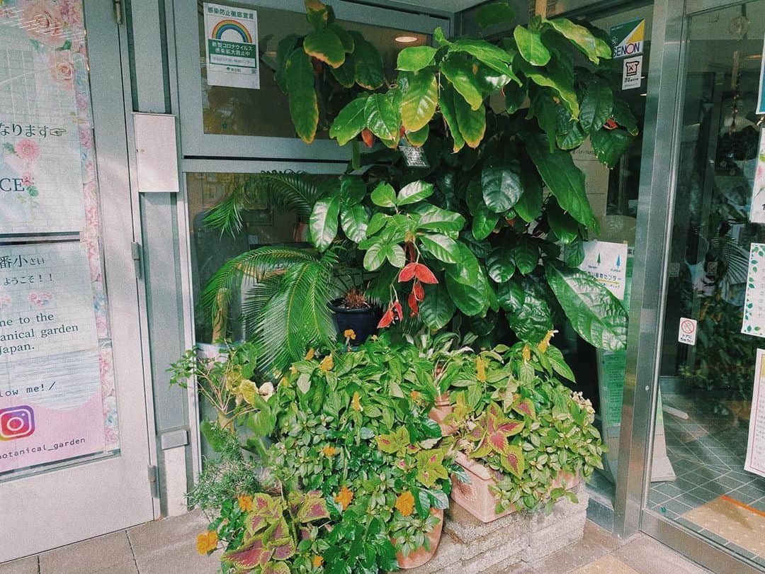 百瀬怜さんのインスタグラム写真 - (百瀬怜Instagram)「② #渋谷区ふれあい植物センター  #植物園」9月19日 21時51分 - momoserei_1113