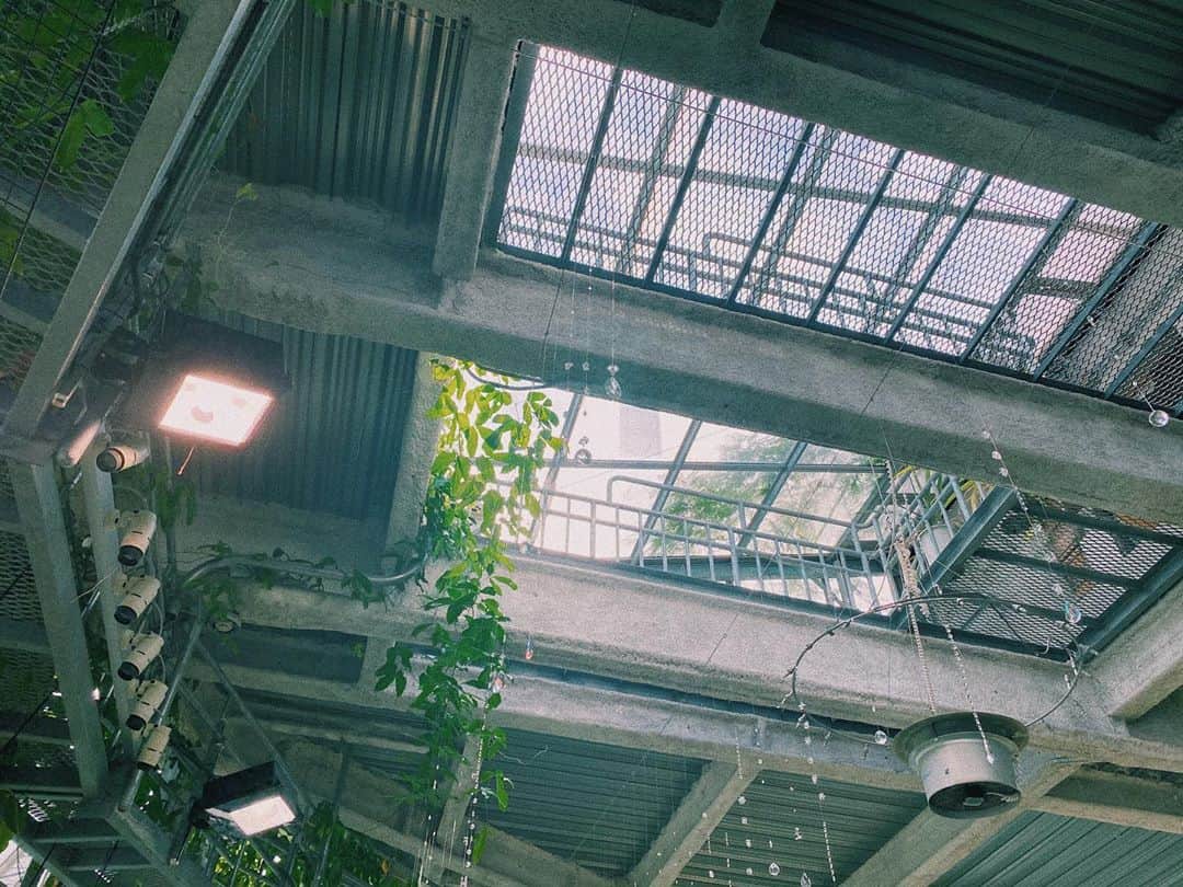 百瀬怜さんのインスタグラム写真 - (百瀬怜Instagram)「② #渋谷区ふれあい植物センター  #植物園」9月19日 21時51分 - momoserei_1113