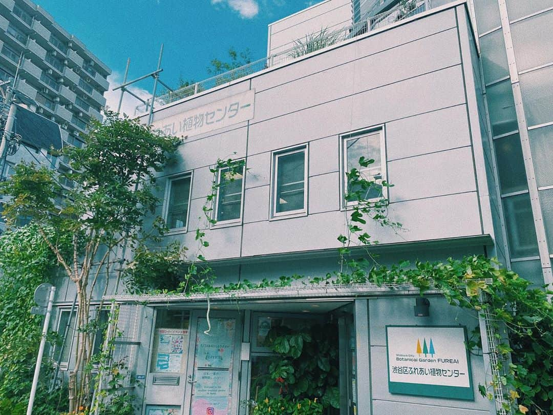 百瀬怜さんのインスタグラム写真 - (百瀬怜Instagram)「② #渋谷区ふれあい植物センター  #植物園」9月19日 21時51分 - momoserei_1113