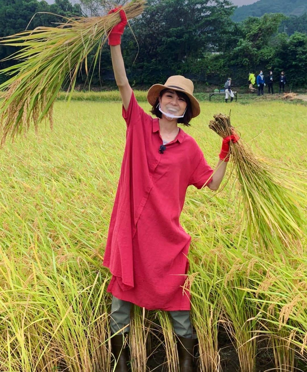 川瀬良子のインスタグラム：「秋を全身で感じてきましたー😊😊😊 実りの秋！ 収穫の秋！ 食欲の秋！ ・ 鎌でザクザク稲を刈って、 藁でギューっと束ねてはざ掛け。 今年初の田んぼに感謝感激！ いろいろな気持ちが込み上げました！ ・ 初めて、栗拾いもしました！ 驚いたポイントがたくさんあったのですが、 詳しくは、10月のあぐりずむを聴いて下さいね🤣 またお知らせします♪ ・ 3枚目の写真は、 みなさんにクイズです🤣！  さて。 収穫しているこの野菜は なんでしょ〜か？😆👏🏻 ・ #TOKYOFM #JFN #日本 の #農業 を #応援 する #ラジオ 番組 #あぐりずむ #茨城県 #石岡市 #八郷 #田んぼ #生き物調査 #栗拾い #秋の味覚 #収穫体験 #農業体験 今年はひとりで農業体験ツアー☀️ 来年は 親子リスナーのみなさんと一緒に  行けますよ〜に👏🏻 #agriculture #クイズ #野菜 改めて #農家のみなさんありがとう ございます！！」