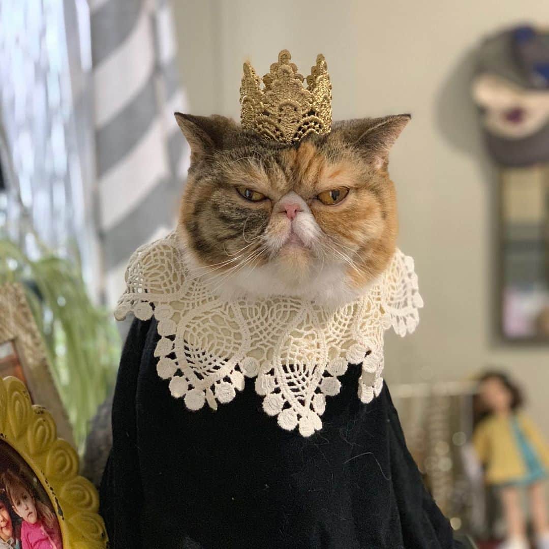 Tinaのインスタグラム：「“Fight for the things that you care about. But do it in a way that will lead others to join you.” ~ Rest In Peace RBG 💔 #ICON」