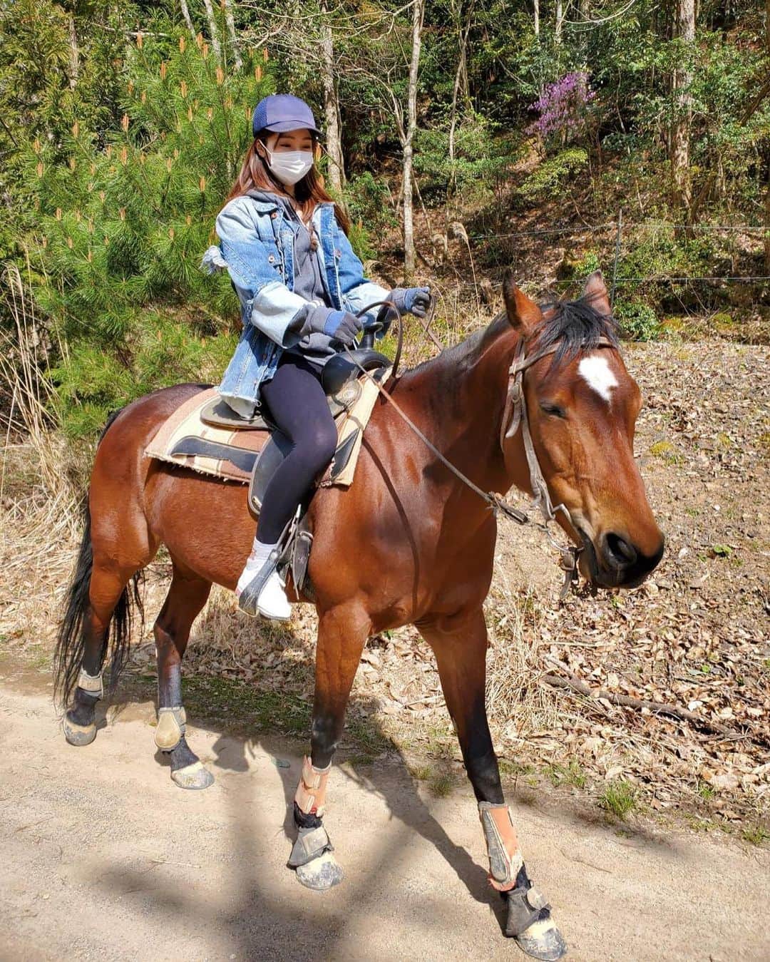 大倉ちなのインスタグラム：「. いつかのお馬さん🐴🤍#horse #likeforlikes#photography #instagood#japan#horseriding  #乗馬#自然が好きな人と繋がりたい」