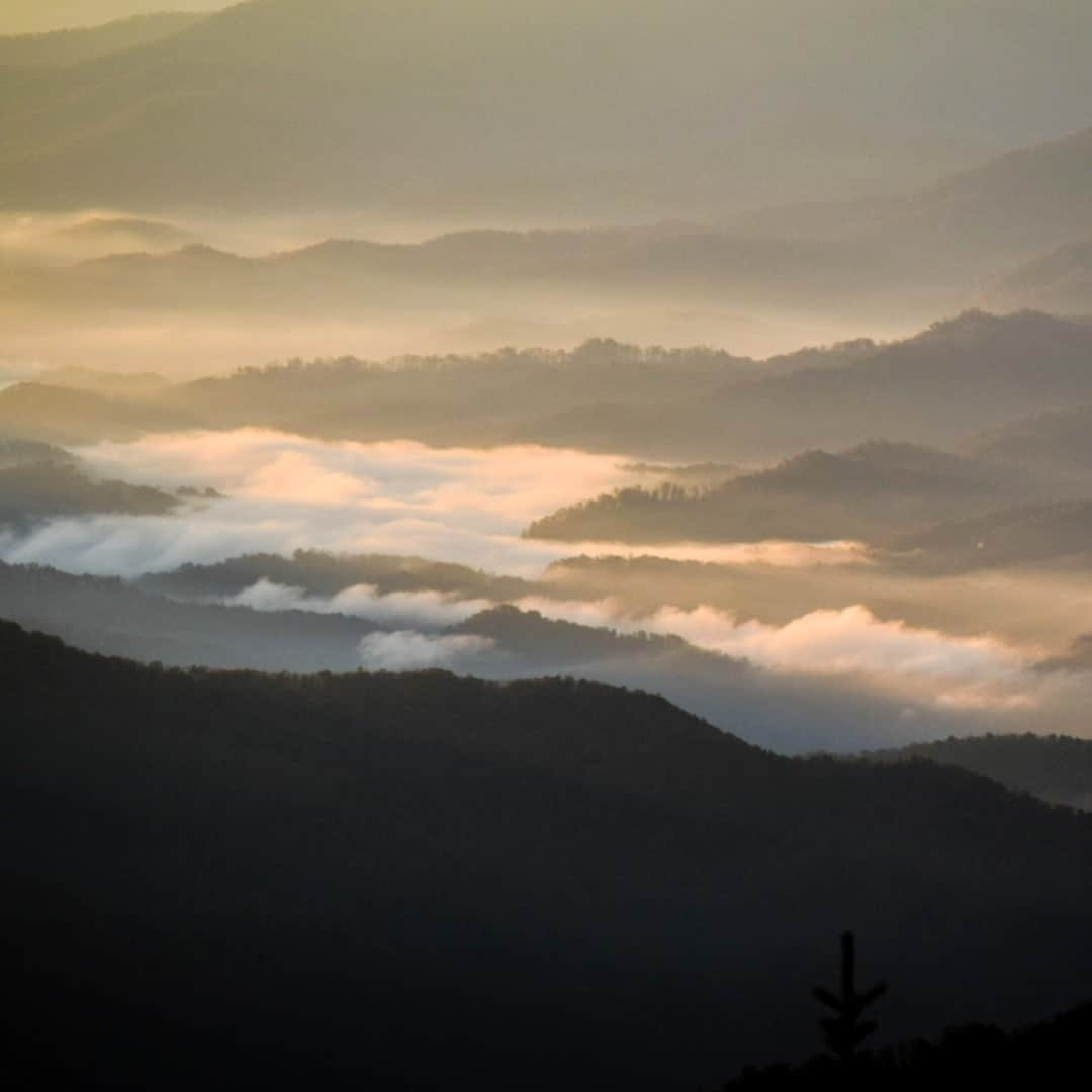 アメリカ内務省さんのインスタグラム写真 - (アメリカ内務省Instagram)「Often cloaked in haze and fog, the Cherokee people called the Great Smoky Mountains, "Shaconage," which means "Land of Blue Smoke." When the first white settlers reached the area in the late 1700s they found themselves in the land of the Cherokee. The tribe had permanent towns, cultivated croplands, sophisticated political systems and extensive networks of trails. Most of the #Cherokee were forcibly removed in the 1830s to Oklahoma in a tragic event known as the "Trail of Tears." The few who remained are the ancestors of the Cherokees living near #GreatSmokyMountains #NationalPark in #NorthCarolina and #Tennessee today. Photo @GreatSmokyNPS by Rieza Soelaeman (www.sharetheexperience.org). #NativeAmericans #usinterior」9月20日 0時10分 - usinterior