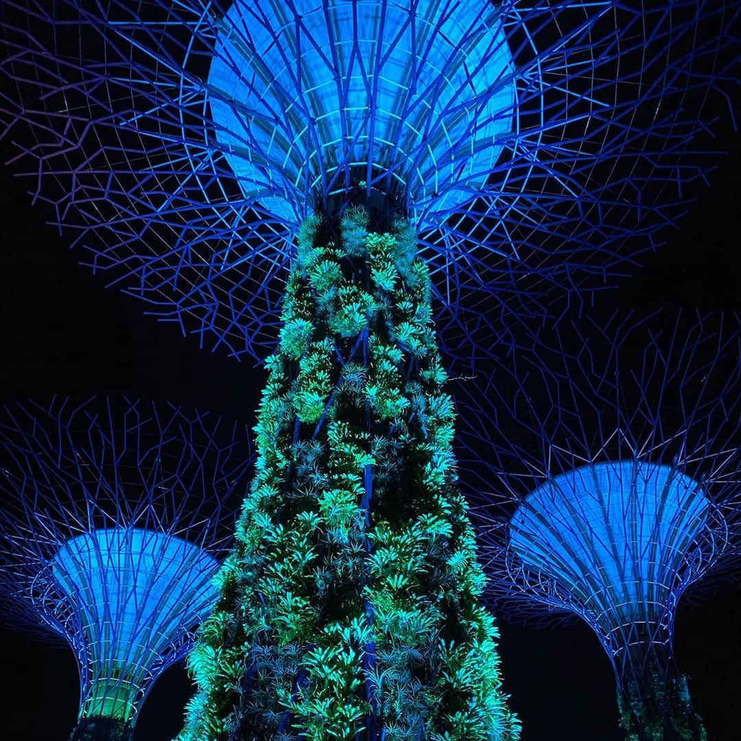 大西蘭さんのインスタグラム写真 - (大西蘭Instagram)「・ 夜の @gardensbythebay へ。 ・ 日中は何度も来てるけど、夜は初めて。 ・ 息子を連れて夜に行くのはハードルが高いなぁと思っていたけど、中秋節のライトアップを見たくて。 ・ ライトアップはもちろん綺麗だったけど、それ以上に夜のスーパーツリーの美しさに感動。 アバターの世界？近未来？不思議な美しさに引き込まれました。 ・ 息子も見上げて、わー🥺という表情をしていたので、楽しんでくれたはず。 ・ フラワードームの中もランタンが飾ってあったりして、少し中秋節仕様でした。 ・ 初日なので結構混んでいたのですが、綺麗なものを見て満たされました😌 ・ ・ #gardensbythebay」9月20日 0時49分 - onishiran