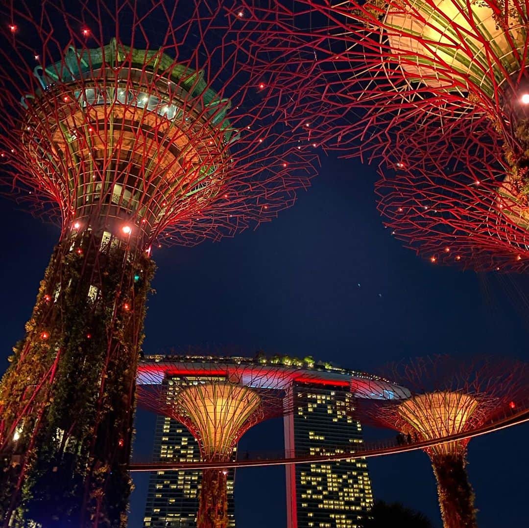 のインスタグラム：「・ 夜の @gardensbythebay へ。 ・ 日中は何度も来てるけど、夜は初めて。 ・ 息子を連れて夜に行くのはハードルが高いなぁと思っていたけど、中秋節のライトアップを見たくて。 ・ ライトアップはもちろん綺麗だったけど、それ以上に夜のスーパーツリーの美しさに感動。 アバターの世界？近未来？不思議な美しさに引き込まれました。 ・ 息子も見上げて、わー🥺という表情をしていたので、楽しんでくれたはず。 ・ フラワードームの中もランタンが飾ってあったりして、少し中秋節仕様でした。 ・ 初日なので結構混んでいたのですが、綺麗なものを見て満たされました😌 ・ ・ #gardensbythebay」