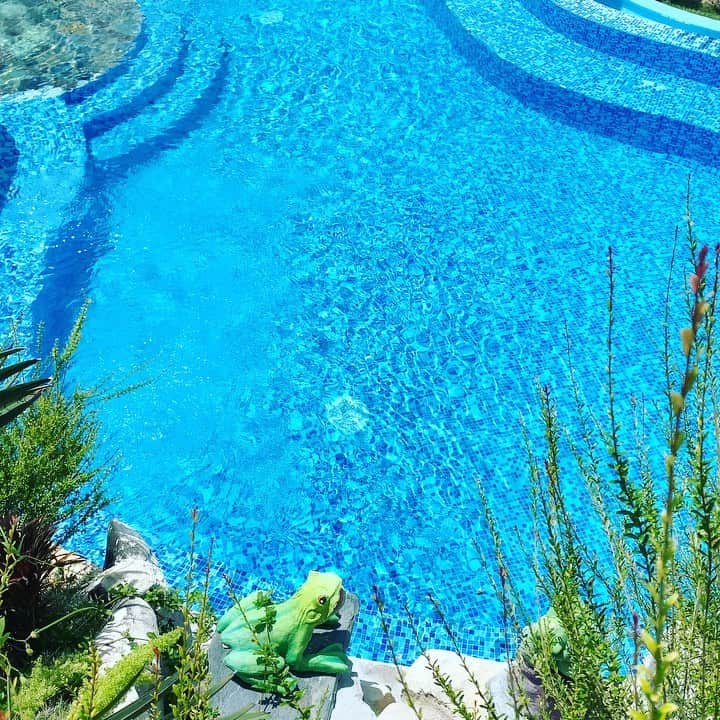 ジョーダン・ノルベルトのインスタグラム：「🦚 @haciendavistalinda 🦚 carretera nagua Cabrera 🦚🦚🐎🐚🦋🐝」