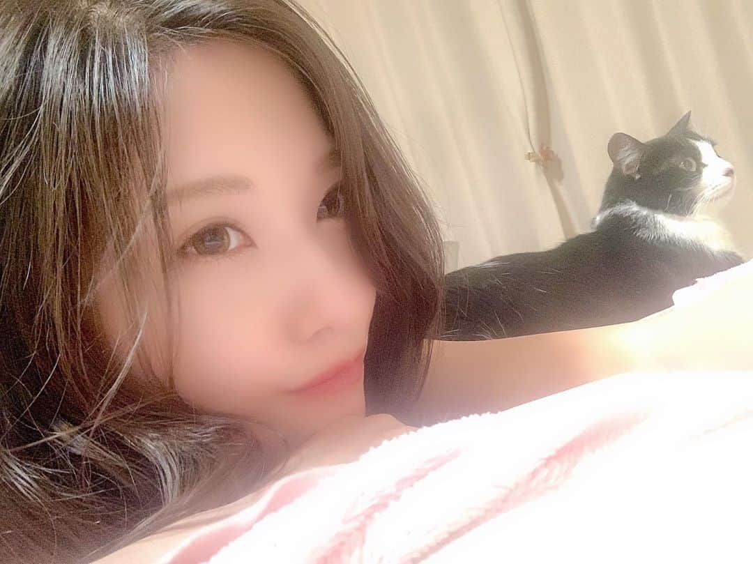 みはとのインスタグラム：「2ショット🐈 が欲しいって言われたから撮りたかったんけど びびさん完全無視だったから強制的に撮ろうとしたら 顔面に抱きつかれました💁‍♀️笑 ・ ・ ・ #nekostagram  #になってると言われたので #自分の顔 #撮るように心がけます  #セルフィー #難しい #2ショットも #ご機嫌によるので #ほんと難しい #nyanstagram  #自撮り #Instagram #得意になりたい」