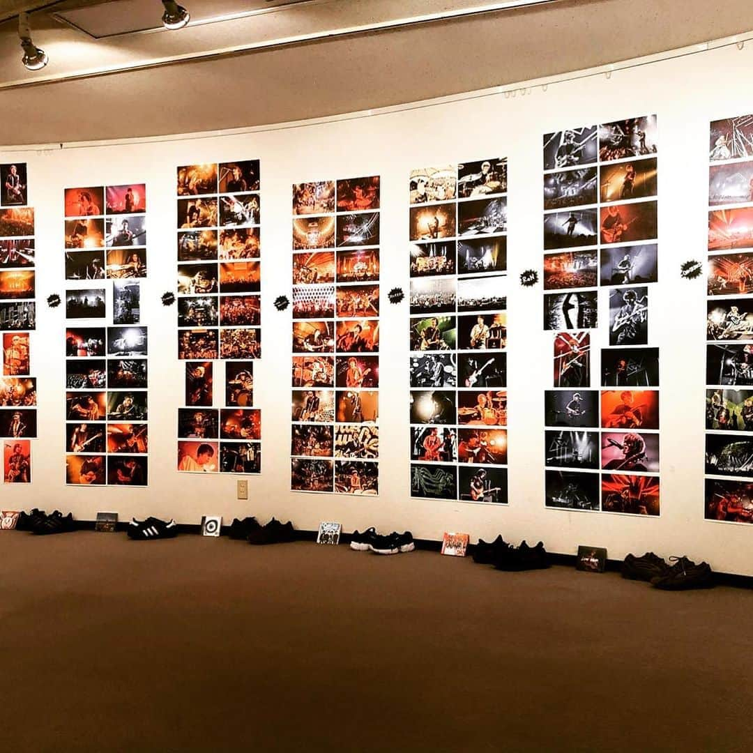 橋本塁さんのインスタグラム写真 - (橋本塁Instagram)「【サウシュー&STINGRAY札幌写真展スタート！】19時までオープン！22日の火曜日(祝)までアートスペース201(中央区南2条西1丁目7番地8 山口ビル5F)にてずっとお待ちしてます！観光や買い物がてら気を付けつつ是非！  #札幌　#写真展 #北海道 #札幌写真展  #stingray  #サウシュー #oneokrock  #ストレイテナー #nothingscarvedinstone  #androp #thebackhorn #9mmparabellumbullet #thepillows #lowiq01 #hawaiian6  #thebawdies #ren  #fomare #soundshooter #サウシュー #写真展 #photoexhibition #livephoto #landscapephotography  #seek」9月20日 11時02分 - ruihashimoto