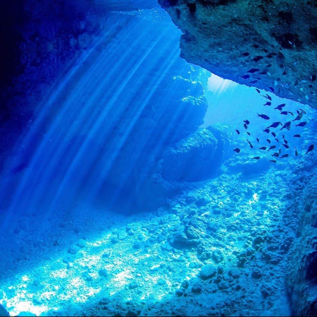 SURFER'S Diane / サーファーズダイアンのインスタグラム：「海の仲間と触れ合えるダイビングやシュノーケル。知らない生き物に出会うのが楽しくて、つい長く潜りすぎちゃう。 . 📍青の洞窟(真栄田岬) 陸から見える景色もキレイなところなんだって。沖縄は素敵な場所がたくさんあって、何度でも遊びに行きたくなるね。 . . photo by @japan_travel_desk . .  #surfersdiane #ethical #surf #surfgirl #surfing #surfstyle #swim #beach #sunset⠀#UVcare⠀#洞窟 #ダイビング #シュノーケル #沖縄 #サステナブル #サステナブルライフ #サーファーズダイアン #日焼け止め #海が好き #浜辺 #海 #岬　#泳ぐ #サーフィン #チル #青の洞窟 #魚 #潜る #綺麗 #景色」