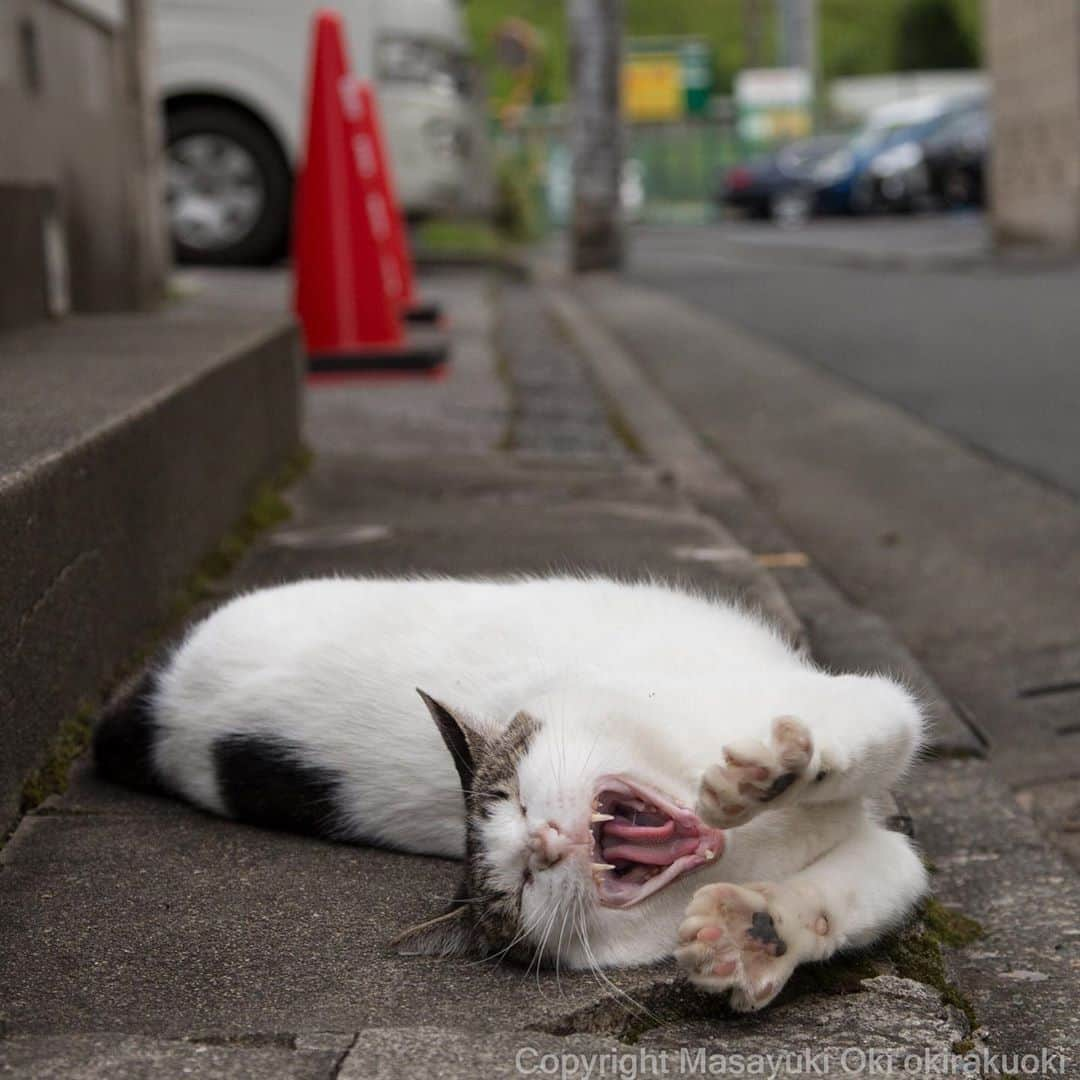 Masayukiさんのインスタグラム写真 - (MasayukiInstagram)「Satoごきげん！」9月20日 11時23分 - okirakuoki