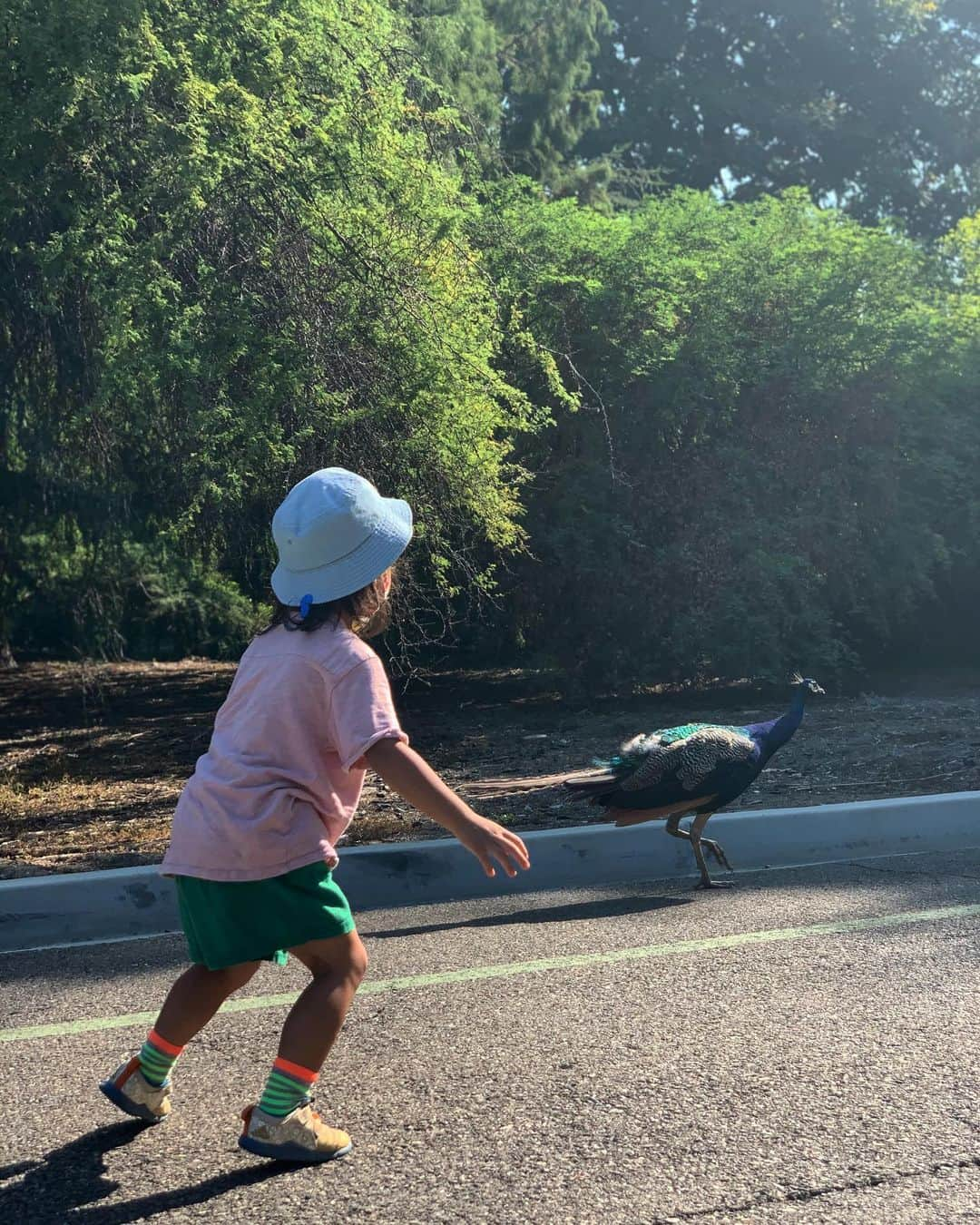 Jaeyoon Choiさんのインスタグラム写真 - (Jaeyoon ChoiInstagram)「🌵🌳🌴 🌿 🦚🦢🌞👨‍👩‍👦‍👦」9月20日 11時55分 - jaeyoonc