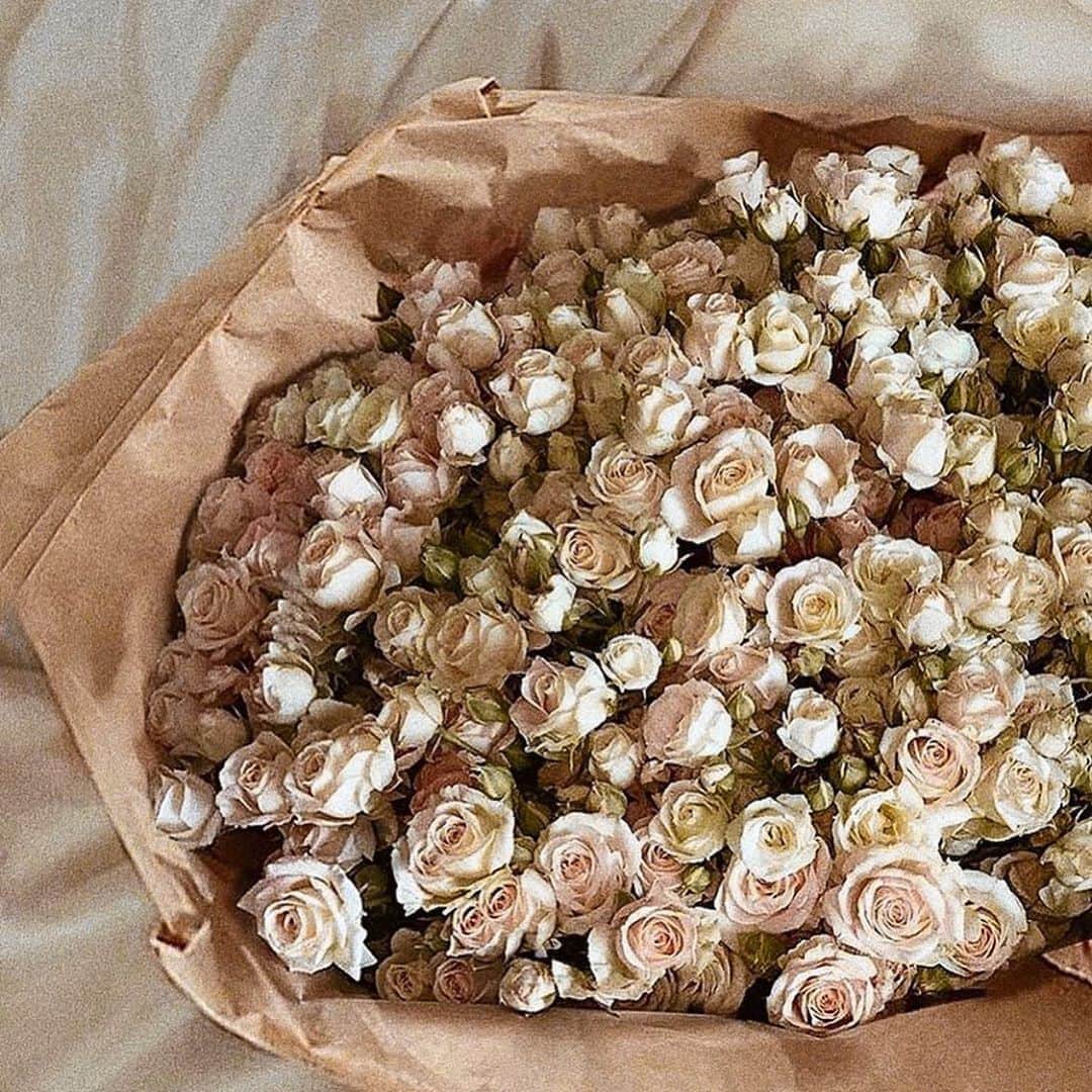 Aylen Aのインスタグラム：「The best therapy is pure thoughts 🌸🌸🌸」