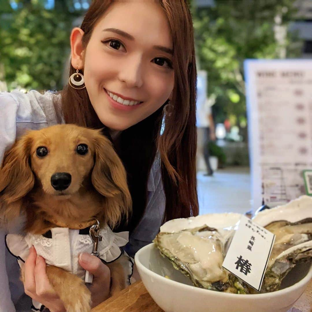 大見さなえさんのインスタグラム写真 - (大見さなえInstagram)「Ｗつばき🐶🦪と1P 99円の真牡蠣😳💓﻿ 田町『#魚とワインはなたれ 』﻿ ﻿ 椿って岩牡蠣発見！！つばきも居るから﻿ これは親バカとしてもちろん頼むよね😎💓﻿ ﻿ このお店19時まで真牡蠣(この日は岩手県の大槌)が99円😳﻿ さっぱりしててスルスルいけちゃう🤤﻿ 19時過ぎに注文すると399円だから早めに注文しておくのが🙆‍♀️﻿ ﻿ 長崎県の岩牡蠣"椿"は1P 900円で﻿ その分大ぶりでクリーミー(*^^*)🦪﻿ 牡蠣は10種類ほど種類あるから、好きなの食べてもよし﻿ オイスターアワーで気軽に沢山牡蠣食べるのも良い🤤🌻﻿ ﻿ 田町駅直結で外はテラス席﻿ わんちゃんOKなのも嬉しいポイント🐶💓﻿ 店内はサラリーマンやOLの方多い(*´꒳`*)﻿ ﻿ ちなみにつばきアカウントあるからわんちゃん好き 見てほしいわん🐶　@tsubaki0624  ーーーーーーーーーーーーーーーー﻿ ﻿ エリア　田町駅　三田駅﻿ 予算3000〜4000円﻿ ﻿ 営業時間﻿ ■平日﻿ ランチ　11：00-14：30 ﻿ ディナー　17：00-23：00﻿ カキのタイムセール　17:00-19:00﻿ 土、日、祝日　11:00-23:00﻿ カキのタイムセール　11:00-19:00﻿ 日曜営業﻿ 定休日　年末年始﻿ ﻿ #生牡蠣 #岩がき #岩牡蠣 #つばき #椿﻿」9月20日 12時19分 - tabe_megumi