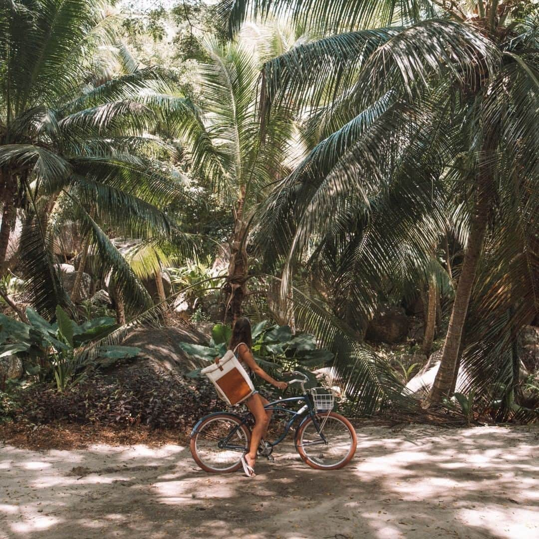 Kapten & Sonさんのインスタグラム写真 - (Kapten & SonInstagram)「'Happiness is a way of travel not a destination.' 💫 @anna.laura exploring the beautiful seychelles with her bike and our backpack Lund "Sand Brown". 🧡 #bekapten #kaptenandson⁠ .⁠ .⁠ .⁠ #onthego #explore #nature #naturelover #backpacks #style #fashion #inspiration #ootd #seychelles #travel #traveling」9月20日 3時30分 - kaptenandson