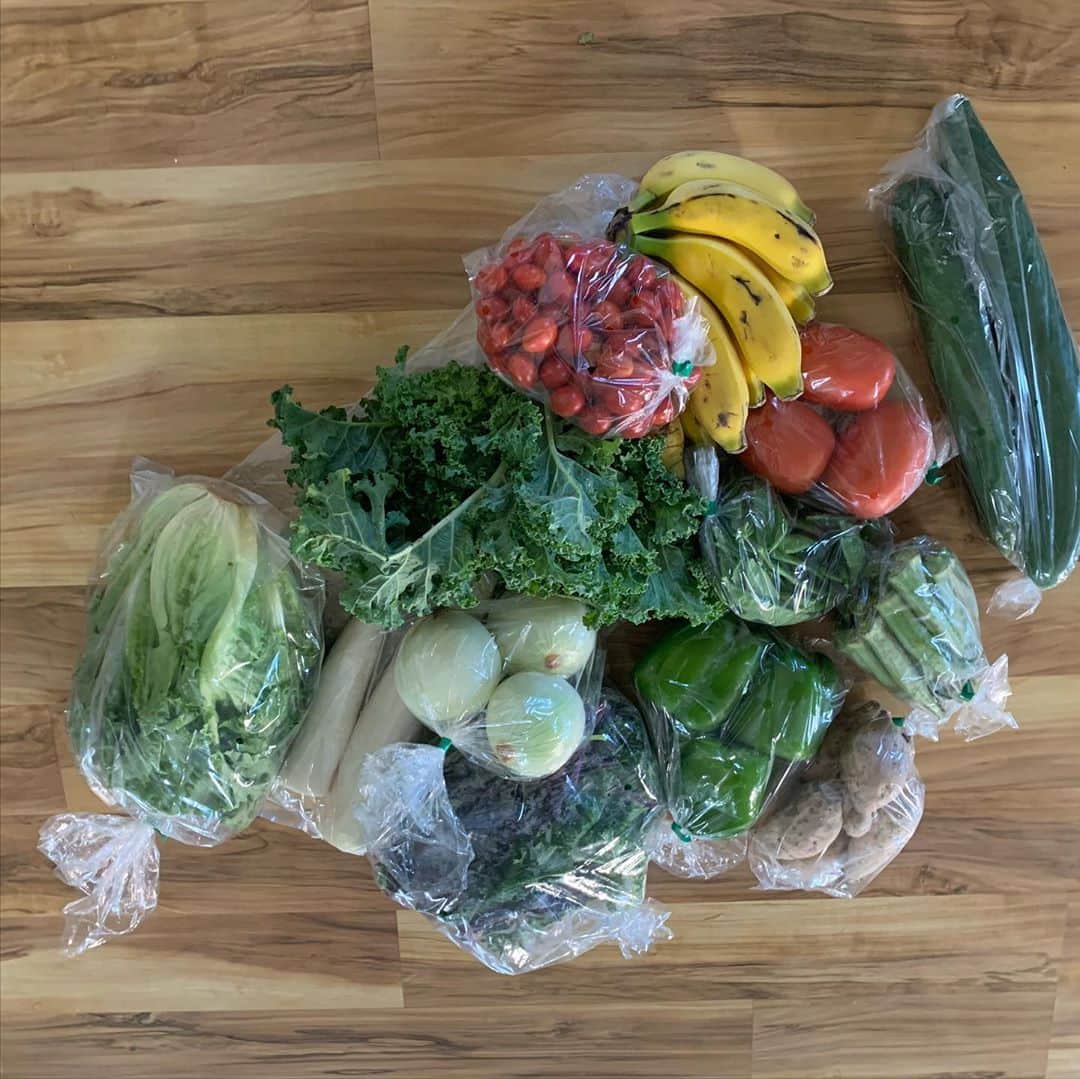 飯島寛子さんのインスタグラム写真 - (飯島寛子Instagram)「Let’s Support Local together!! 新鮮なお野菜をありがとう😊食生活が充実します。 今日の合計$31 #mccllysshoppingcenter #pitfarm #ファーマーズマーケット　 充実野菜　#ハワイ暮らし」9月20日 3時55分 - hirokoiijima
