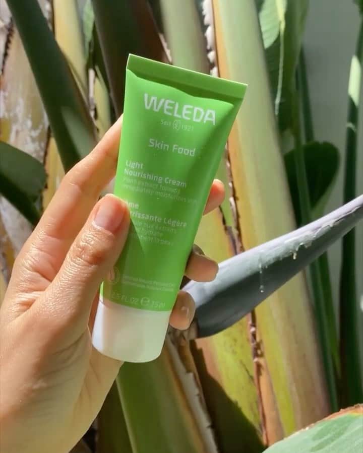 Weledaのインスタグラム：「The perfect multi-purpose product! 💚 @betina_goldstein loves to use Skin Food Light as a nourishing hand cream. #WeledaSkinFood」