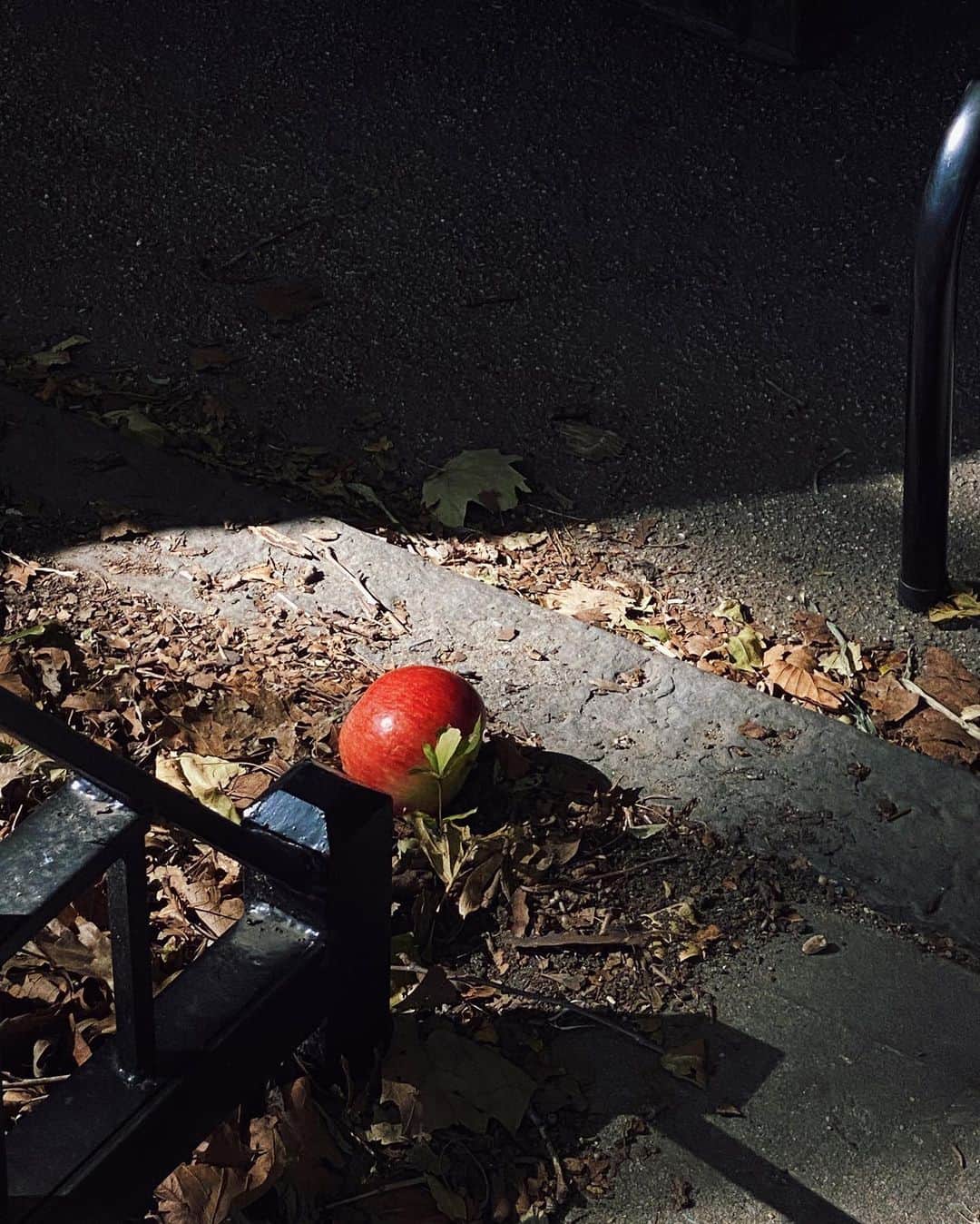 アリス・ガオのインスタグラム：「fallen 🍎」