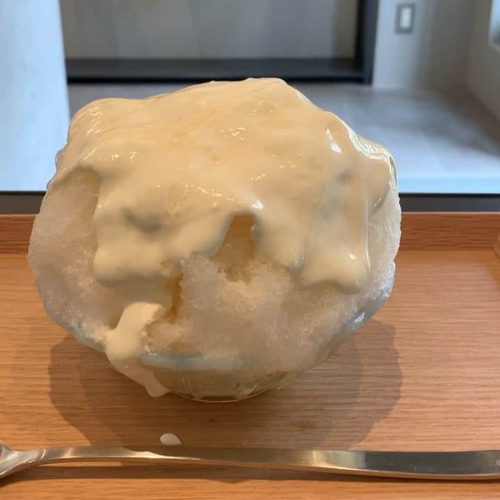 のインスタグラム：「💛﻿ ﻿ 今年28氷目のかき氷﻿ 梅クリームチーズ🧀💛﻿ @thelobbytokyo  ﻿ ﻿ ﻿ 満席で予約とれなかったのでテイクアウトする気で寄ってみたら、﻿ 30分だけならと偶然イートインできました✨﻿ ハーフにしたらおいしすぎて10分で完食してましたよ笑﻿ またいく💛﻿ ﻿ ﻿ ﻿ ﻿ ﻿ #ザロビートウキョウ ﻿ #代官山カフェ ﻿ #代官山﻿ ﻿ #かき氷 ﻿ #かき氷部 ﻿ #氷活﻿ #かき氷巡り ﻿ #かき氷2020﻿ #かき氷202009﻿」