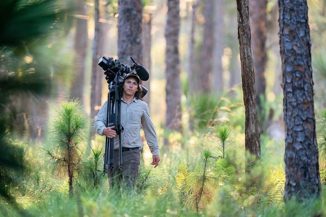 National Geographic Creativeさんのインスタグラム写真 - (National Geographic CreativeInstagram)「Photo by @carltonward / On assignment for @insidenatgeo making a Last Wild Places film about the Florida Wildlife Corridor / Film director @danny_schmidt navigates pine woods on the Smoak Ranch — a Florida cattle ranch that has been protected by a conservation easement with @nature_org. That morning we were looking for Florida black bears — one of many species this ranch and neighboring properties support. The Florida Wildlife Corridor is a statewide network of public conservation lands, and private working lands (like this ranch) that together form connected habitat for wide ranging wildlife. Learn more at @fl_wildcorridor and @pathofthepanther. #FloridaWildlifeCorridor #LastWildPlaces #KeepFLWild」9月20日 6時55分 - natgeointhefield