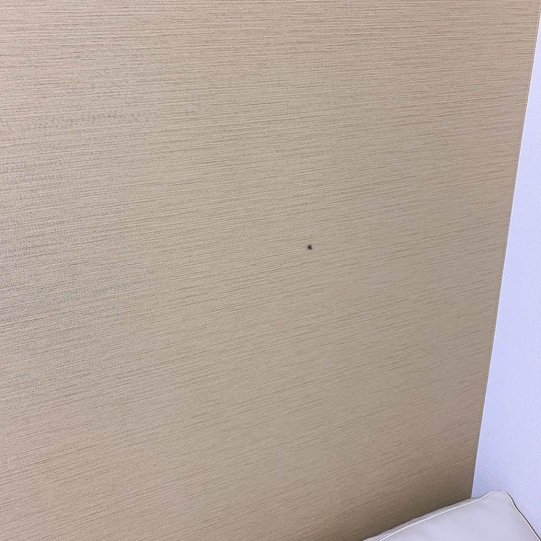 染谷俊之さんのインスタグラム写真 - (染谷俊之Instagram)「最近また部屋に小さなクモが毎日出てきて、愛着湧いてます♪(´ω｀)」9月20日 12時44分 - someya_toshiyuki