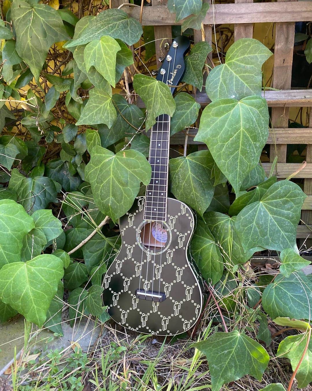 ジェラルド・ウェイのインスタグラム：「So one of my friends, favorite people in the world, and patron of the arts, Michael Schulz, worked with his company @fender to collab with very cool musician @billieeilish on her rad looking and sounding ukulele. They were kind enough to send this to B and Linds and myself so I wanted to post a picture of it in our garden. It has a really interesting pattern on it, and you can plug it in, so now I’m going to plug this into a fuzz pedal and see what happens. I may report back with my findings. It’s fun to play. I don’t normally play ukulele but I did in fact recently write a song called Ukulele Songs, which is about ukulele songs. I may share that. I’m not sure, but if I record it, I will use this ukulele. Have a good Saturday. Congrats on the uke, Billie!」