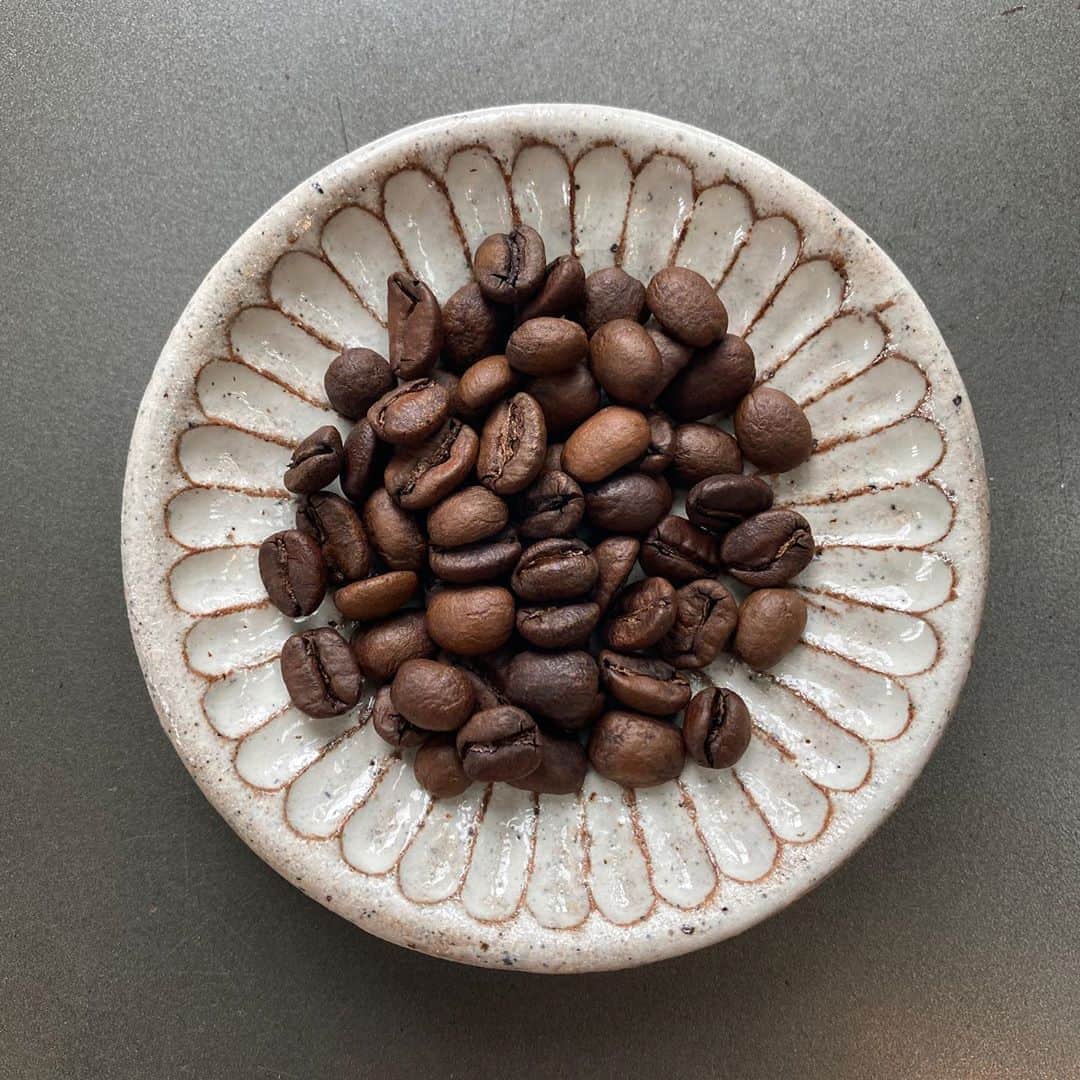 坂口憲二（THE RISING SUN COFFEE）さんのインスタグラム写真 - (坂口憲二（THE RISING SUN COFFEE）Instagram)「◆GOOD MORNING COFFEE‼︎◆  【NEW RELEASE】  中南米はコスタリカから魅惑のコーヒーが届きました！  Costa Rica/Fatima Dota Anaerobic Natural(コスタリカ/ファティマ・ドタ　アナエロビコ・ナチュラル)  「アナエロビック・ファーメンテーション」と言う、比較的新しい精製方法を行っている珍しいコーヒーになります。  これは空気を遮断し酸素がない状態で発酵工程を行うことで、通常とは異なる微生物が活動し、その影響によって魅惑的なフレーバーが誕生します。  今回のロットは「サンチュアリオ・プロジェクト」によるもの。  コロンビアの生産者によって発案されたこのプロジェクトは「ユニークで最高のコーヒーを生産する」をコンセプトに、コロンビア、ブラジル、コスタリカ、メキシコに農園を持ち、希少な品種や素晴らしい風味を持ったコーヒーの生産を行なっています。  ご興味のある方はオンラインストアにてお待ちしてます！  therisingsuncoffee.com  #coffee #coffeebeans  #coffeeroaster  #coffeelab  #coffeeandsurfing  #coffeetime  #coffeelover  #coffeebreak  #coffeeshop  #coffeestand  #coffeeholic  #coffeehouse  #coffee_inst  #coffeemaker  #coffeeshops  #coffeecoffeecoffee  #coffeenclothes  #coffeeaddict  #coffeeculture  #coffeemorning  #coffeemag #specialitycoffee  #costarica  #anaerobic  #anaerobicfermentation  #TRSC」9月20日 10時39分 - therisingsuncoffee