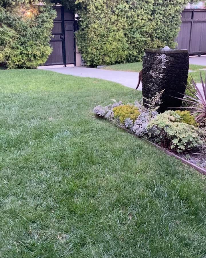 ストーン・コールド・スティーブ・オースチンのインスタグラム：「Me and Brownie hanging in the front yard.  Mean Streets Los Angeles, CA  Cheers! Swig of Beer! @esbcbrews」