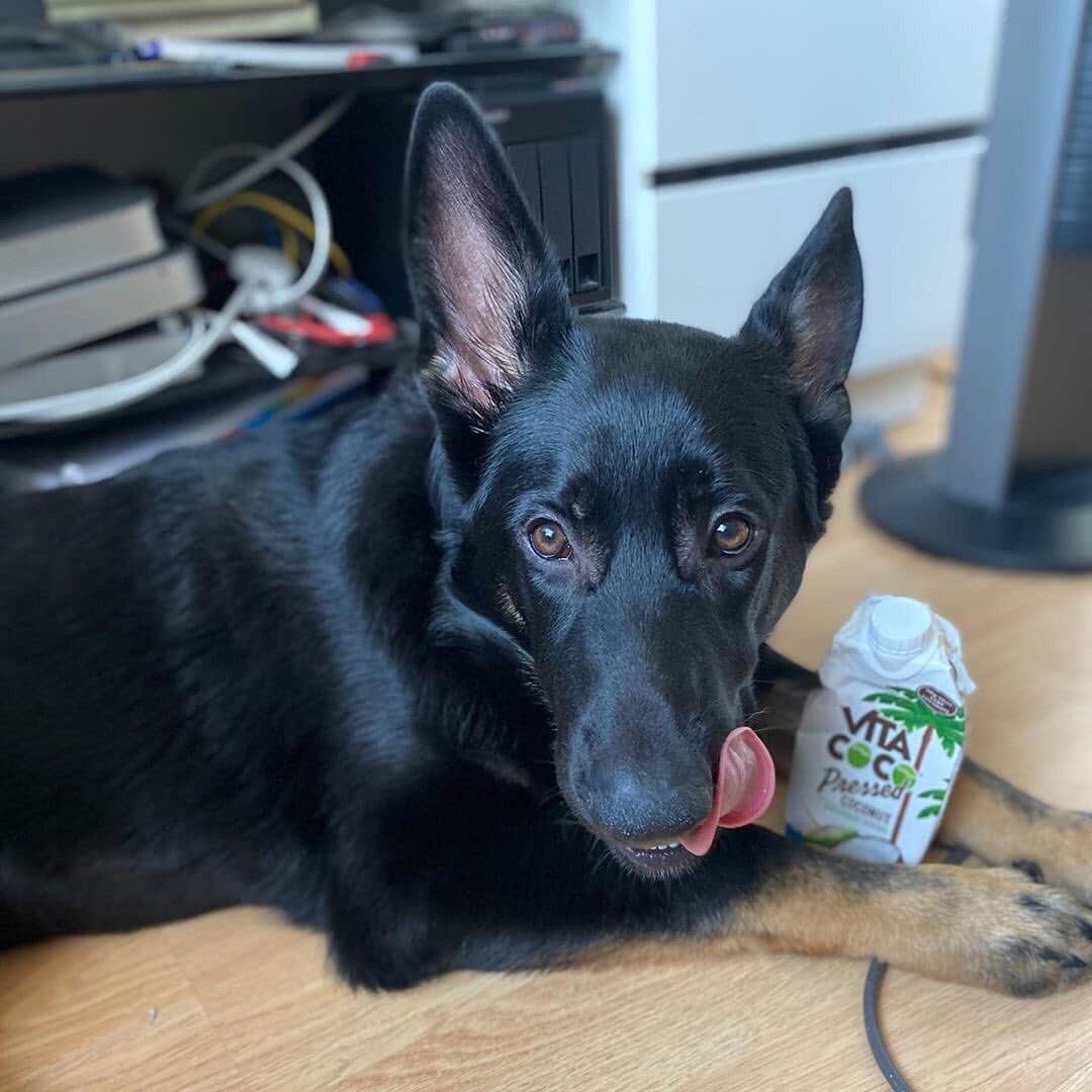 Vita Coco Coconut Waterのインスタグラム：「Lick your lips if you like Pressed!」
