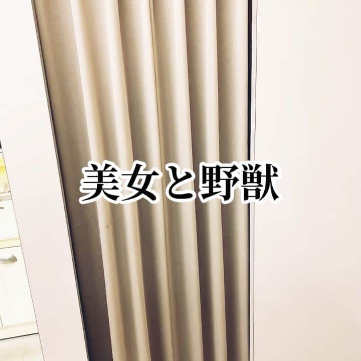 斎藤司のインスタグラム：「美女と野獣の朝の風景好きすぎて 楽屋にいたキャストで撮ったよ 美女と野獣ゾーン早く行ってみたいけど 来年だろうなぁ  #東京ディズニーランド #美女と野獣 #ゆにばーすはらちゃん #ゆにばーす川瀬 #銀シャリ橋本さん #specialthanks #相模原ホール」