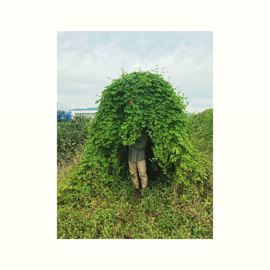 のインスタグラム：「sun farm  動けばいい出逢いがある。 お日さま農園を引き合せてくれたのは 私が料理教室をやっていた頃からの数十年来のお付き合い山形っこの山田ちゃん。 お陰で様で山形の入り口が見つかり山形に魅せられています。  #こんな美味しい金時そう食べたことがない！#つるむらさきの種#山形#山形ビエンナーレ」