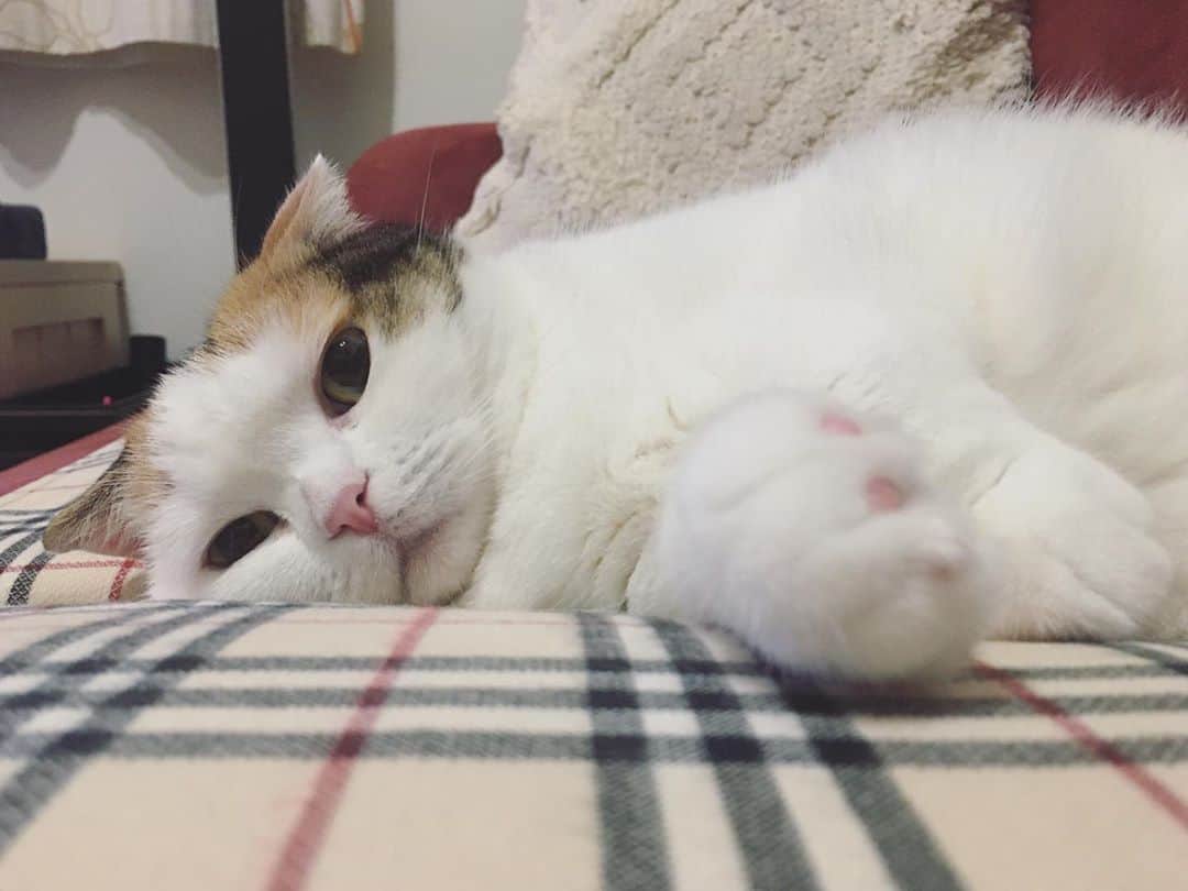 ありす & まりあのインスタグラム：「Good night 🌙」