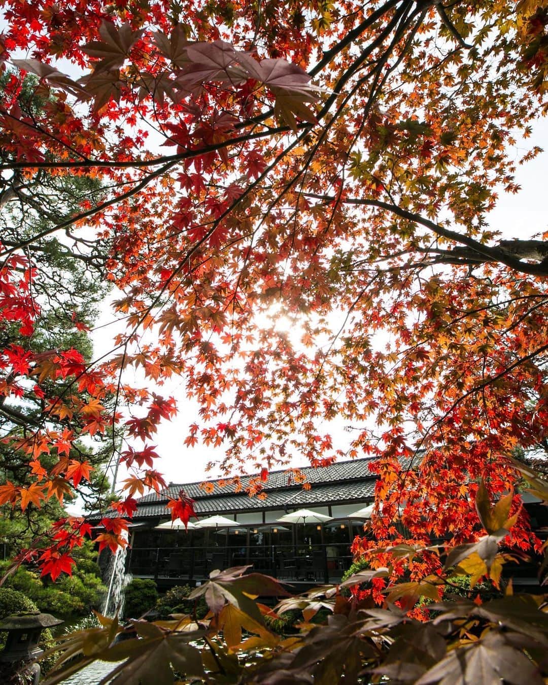 小林樓《新潟県見附市：結婚式場》のグルメインスタ