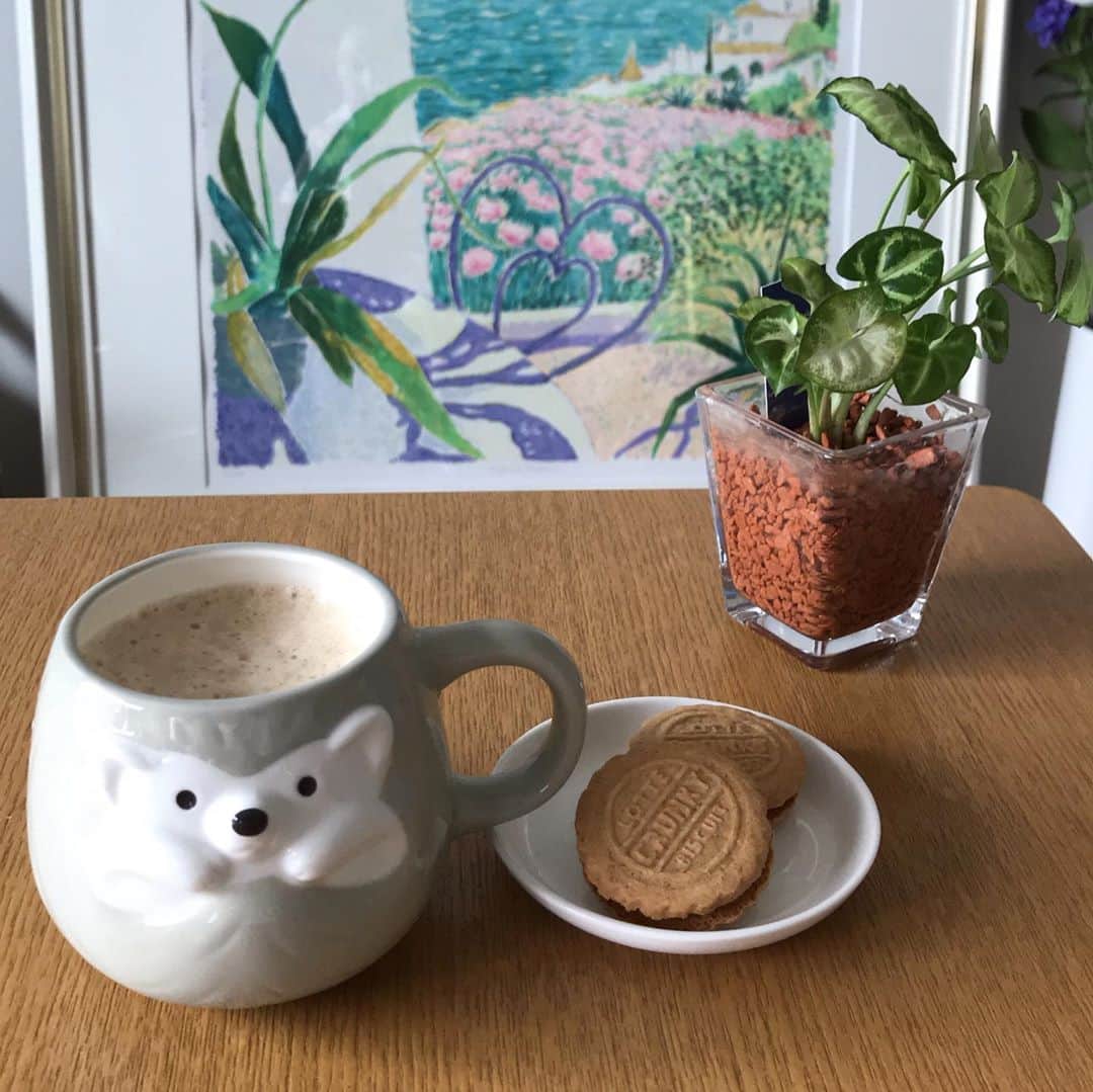 大塚まゆりのインスタグラム：「朝は決まってダルゴナコーヒーとクッキー🍪 最近買ったお気に入りのハリネズミマグカップ で…♪ #coffee #breakfast #crunky #café #ダルゴナコーヒー #朝ごはん #日常の風景 #日曜日の朝」