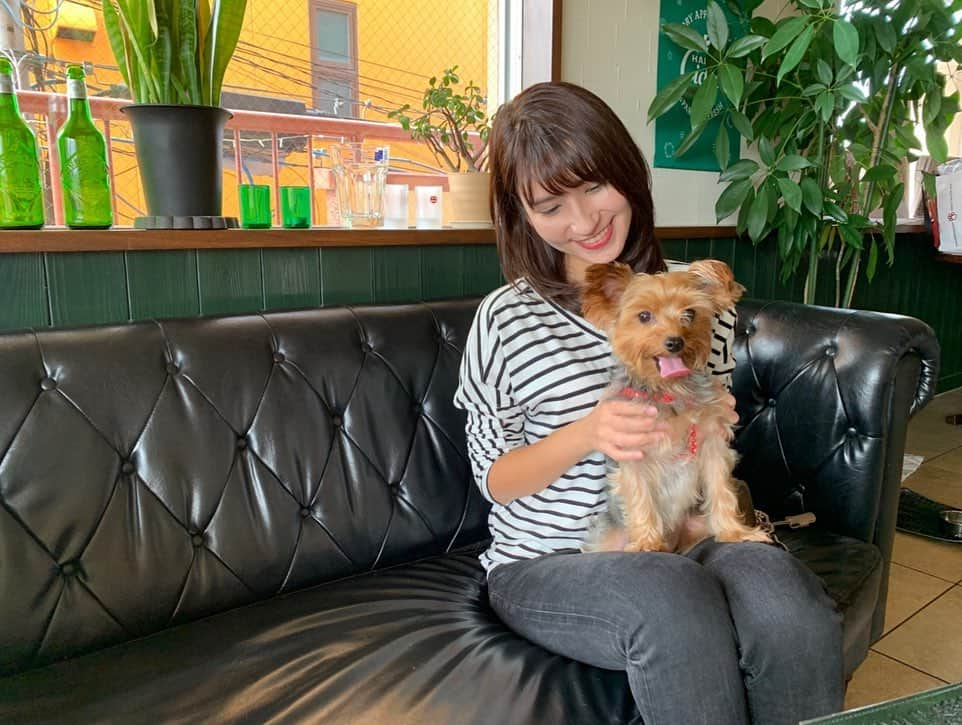 澤田愛美さんのインスタグラム写真 - (澤田愛美Instagram)「. 八戸市のドッグカフェ フランダース🐶✨ 沢山お出かけできて嬉しいね🥰 . .  #八戸 #ドッグカフェ #いぬのいる暮らし #いぬすたぐらむ #ヨーキー」9月20日 13時25分 - amy____oxox