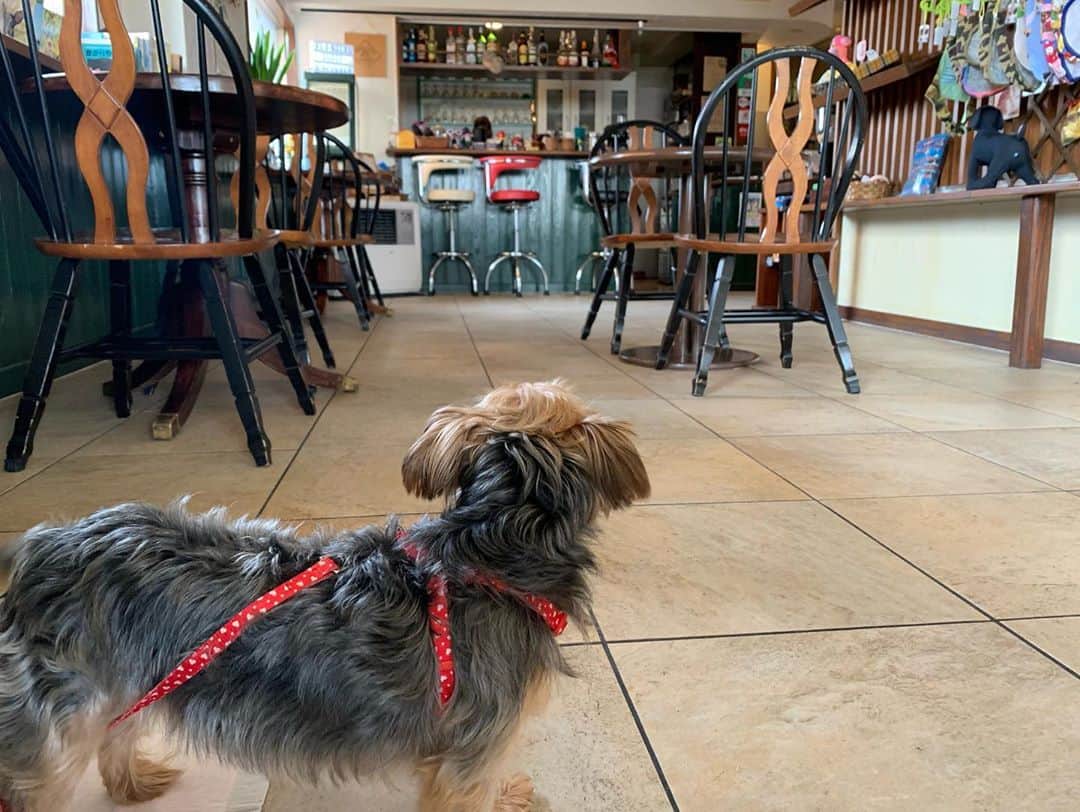 澤田愛美のグルメインスタ