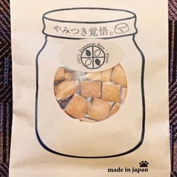 Blue Bottle Coffee Japanさんのインスタグラム写真 - (Blue Bottle Coffee JapanInstagram)「⁠⠀ 9/20(日) 〜 9/26(土) は動物愛護週間です。⁠⠀ ⁠⠀ ブルーボトルコーヒーのカフェには、毎日飼い主さんと一緒にたくさんのワンちゃん達が遊びに来てくれます。 コーヒーは飲めないけどワンちゃんにもカフェを楽しんで欲しいという思いから、ブルーボトルコーヒー 京都カフェでは「Dog Day」を開催しています。⁠⠀ ⁠⠀ 期間中、ワンちゃんと一緒に京都カフェにご来店いただくと、国産有機野菜を使用し無添加・無着色にこだわった「やみつき覚悟。」のオリジナルドッグトリーツ(おやつ) をプレゼントいたします。⁠⠀ ⁠⠀ ぜひ、お散歩がてら京都カフェにお立ち寄りください。⁠⠀ ⁠⠀ ⁠⠀ [ Dog Day ]⁠⠀ 開催期間：9/19(土) 〜 9/26(土) ⁠⠀ 開催カフェ：ブルーボトルコーヒー 京都カフェ⁠⠀ 住所：京都府京都市左京区 南禅寺草川町 64⁠⠀ アクセス： JR京都駅から市バスで約 30 分、地下鉄東西線蹴上駅より徒歩約 6 分⁠⠀ 営業時間：9:00−18:00⁠⠀ ⁠⠀ ※テラス席のみ、ワンちゃんと一緒にご利用いただけます。⁠⠀ ※カフェ内にはワンちゃんはお入りいただけません。⁠⠀ ⁠⠀ ⁠⠀ #DogsOfBlueBottle⁠⠀ #ブルーボトルコーヒー⁠⠀ #ブルーボトルコーヒー京都⁠⠀ #BlueBottleCoffee⁠⠀ #BlueBottleCoffeeKyoto」9月20日 13時45分 - bluebottlejapan