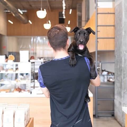 Blue Bottle Coffee Japanのグルメインスタ