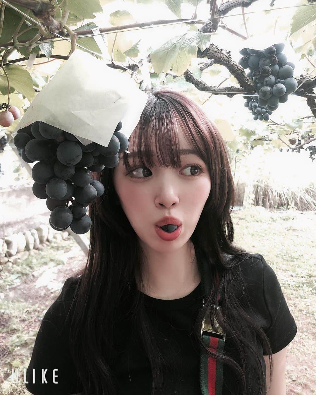 平野夢来（ゆぴぴ）のインスタグラム：「#🍇  ・ ・ お久しぶりに朝からお出かけ〜 山梨にブドウ狩りに行ってきたよぁ〜🍑」