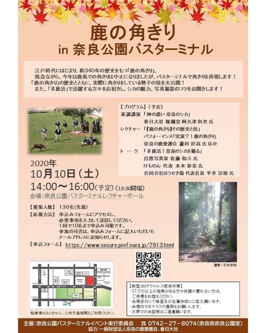 熊乃あいのインスタグラム：「【10/10 鹿の角きりin奈良公園バスターミナルのお知らせ】  今年は鹿苑での鹿の角きりは開催されませんが、奈良公園バスターミナルレクチャーホールにて特別プログラムが開催されます。 ．  令和2年10月10日(土曜日)午後2時～午後4時 奈良公園バスターミナルレクチャーホール 130名（先着順）  ． 奈良公園と鹿の繋がりや、奈良の鹿愛護会による実演⁉︎角きりパフォーマンス！ ． そして「 #鹿活 」奈良のシカを撮る🦌📸 をテーマに鹿活という言葉を広めた  ほうせき箱 代表社員 平井宗助さん @lovenaradeer   鹿の写真集を数多く出版されている 佐藤和斗さん @kazuto.photography   そして私、けものん水本彩奈でトークをさせて頂きます！ @kemonon.photo   コロナを配慮して会場定員を通常の1/3に減らして開催されます。先着順ですでに多くのご予約を頂いているみたいですので、参加ご希望の方はお早めに専用フォームから申し込みお願い致します。  【申し込みフォーム】 https://www.secure.pref.nara.jp/2913.html  当日は、けものん商品も少しではありますが 会場に置かせて頂きます。是非記念写真だけでも撮っていかれて下さい😊 それでは10/10お会いできるの楽しみにしております✨  #奈良 #鹿の角きり #奈良公園バスターミナルレクチャーホール #イベント情報 #奈良の鹿愛護会 #鹿 #奈良公園 #奈良イベント #けものん」