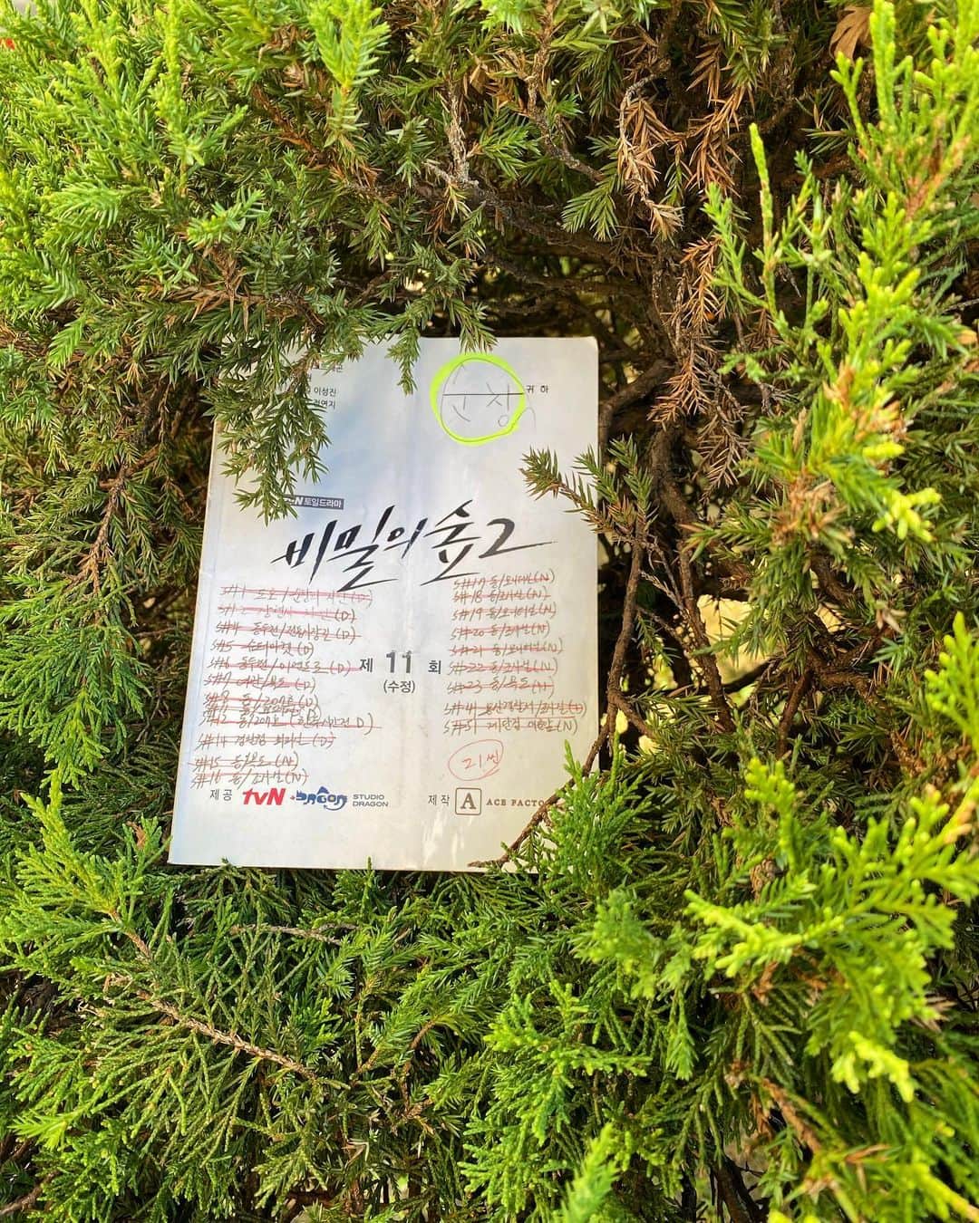 ソン・ジホのインスタグラム：「🌲🦎🐍☘️🌿🌱🍃🌴🎍🌳 #비밀의숲2 오늘도 함께해요💚」