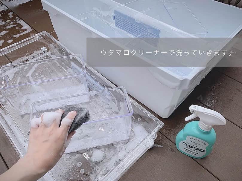 Locariさんのインスタグラム写真 - (LocariInstagram)「＼この連休にやりたい！秋カビ対策／﻿ 準備するものはウタマロクリーナーとアルコールだけ！﻿ ﻿ @_____mariagram さんの投稿です✎﻿ ﻿ 今回のこそうじは野菜室の掃除です☺︎﻿ 去年も書きましたが﻿ 梅雨カビより夏の暑さを乗り切った﻿秋カビの方が手強いのだそう。﻿ 確かに…この暑さを乗り切ったカビは﻿強敵なイメージしかないな。﻿ ﻿ 秋の方が繁殖しやすいようで、﻿ 冷蔵庫だと野菜室が1番危ないと聞いてから﻿ 夏終わりには一回綺麗にしようと決めています。﻿ そして秋終わりにもう一回。←出来れば﻿ ﻿ 冷蔵室もポケット部分が汚れてるから、﻿ また近いうちにこそうじ﻿ 防カビ除菌頑張ろう💪﻿ ﻿ よく質問を頂く﻿ 野菜室で使っている透明のケースは﻿ ニトリの商品です☺︎﻿ ・﻿ ・﻿ ﻿ #掃除#お掃除#掃除記録#掃除グッズ#パストリーゼ#ウタマロクリーナー#こそうじ#ズボラ主婦の毎日こそうじ#大掃除回避大作戦#スボラ式こそうじ#ズボラママのこそうじ#ズボラママの簡単こそうじ#ニトリ」9月20日 14時15分 - locari_jp