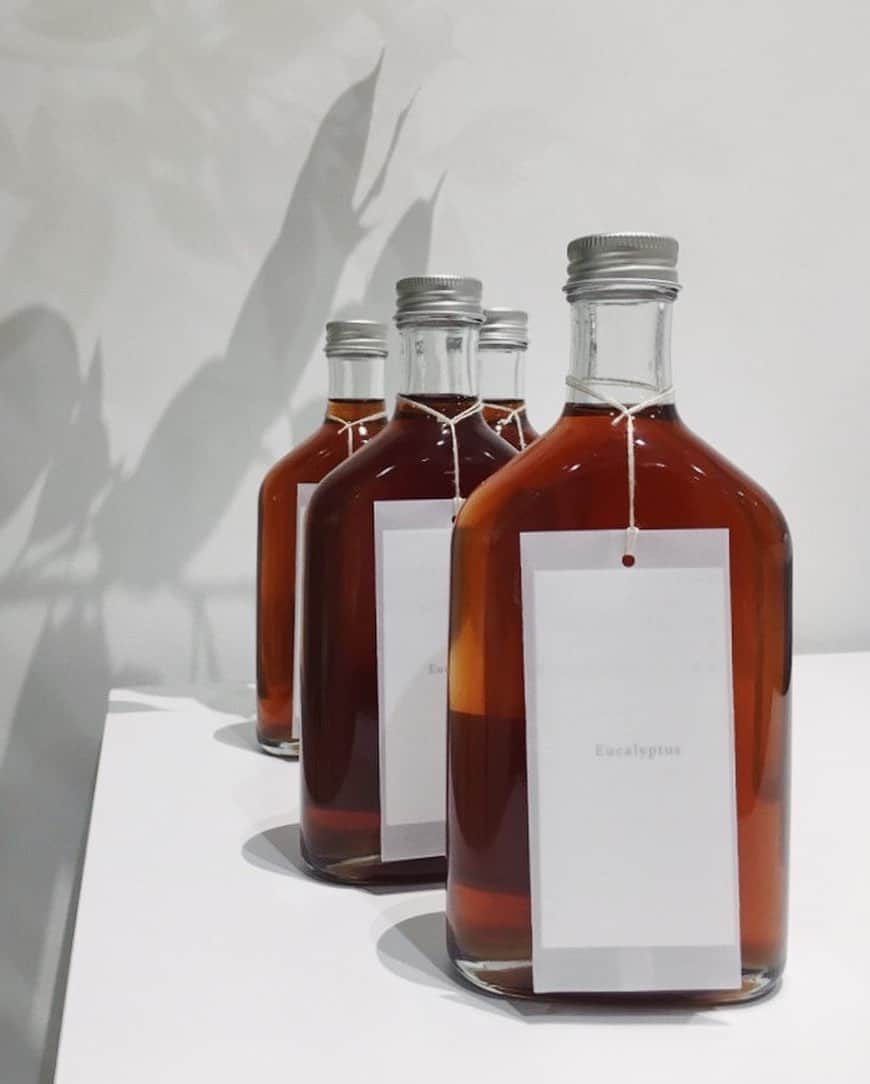 のインスタグラム：「calm Eucalyptus syrup「Fermenting」 -  Fermenting... 再生、発酵、広がる 変化すること  EMILY WEEK「RESET」シリーズ限定カラー"ユーカリグリーン"の予約販売開始に合わせ、ニュウマン横浜店、大丸梅田店の店舗限定でシロップブランド「calm @calm_06 」によるユーカリブレンドのコーディアルシロップが入荷しました。  「再生」が花言葉のユーカリに、変化できない、物を溜め込みやすい人に良いハーブや、やりたかったことを実現するパワーをくれるハーブなどをブレンド。 優しい未来への"再生"がテーマのシロップです。  ⚪︎ブレンド内容： 洗双糖、レモン、ユーカリ、 マローブルー、ホーステール、ネトル、セージ  ⚪︎コーディアルシロップの楽しみ方： ・スプーンにひとさじ、そのままなめる ・炭酸水、水、お湯、ミルク、紅茶、 　珈琲、アルコールなどで割る ・ヨーグルトに入れる ・桃×モッツァレラ、無花果×モッツァレラなど 　フルーツサラダにかける  - #EMILYWEEK #reset #active #neutral #balance #aroma #organic #period #relax #design #typography #photography #womanslife #cordialsyrop #syrop #calm #herb」