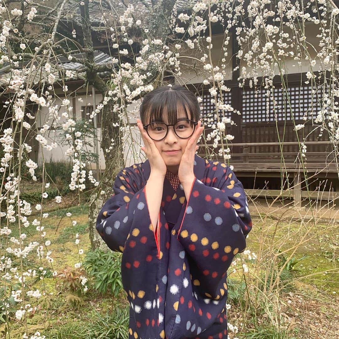 森七菜のインスタグラム：「連続テレビ小説「エール」 あの梅ちゃんがついに婚約しました😍 五郎さんと梅、これからどうなっていくのか…温かい目で見守ってください〜📺 #朝ドラエール #2月ロケだったので梅の花がキレイでした #梅と梅（笑） #エールの公式SNS（@nhk_yell）でオフショットいっぱい投稿されてます #ぜひ！」