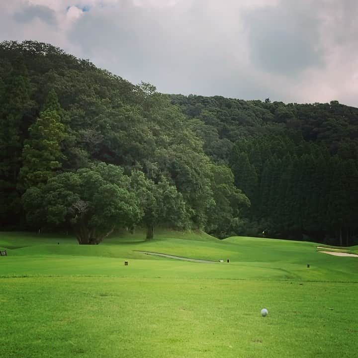 田中順平のインスタグラム：「PAR3 162y タイトリスト　AP2  7アイアン 8割の力加減でピン少し右側から攻めていく 結果はいかに…⛳️ . . . #ゴルフ #ゴルフスイング #ゴルフ好き #ショートホール #パー3 #アイアンショット  . ボールと身体の距離近いかな？ 誰か教えて😂😂😂」