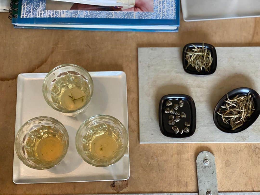 青山有紀さんのインスタグラム写真 - (青山有紀Instagram)「@kit_sankakuha さんにて、オーガニックジャスミン新茶会。 いろいろ試飲出来て嬉しい。そしてどれも美味しい🌱」9月20日 15時43分 - yukiaoya