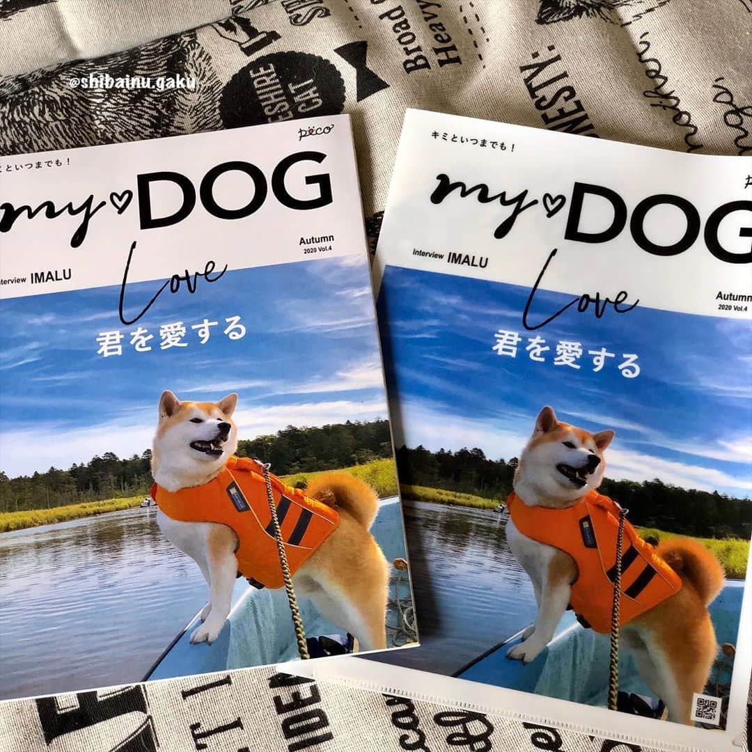 Kazumi-Gakumamaさんのインスタグラム写真 - (Kazumi-GakumamaInstagram)「岳の『MY♡DOG』秋号（うちのコ表紙）の表紙は思い出の北海道オンネベツ川で船に乗ってポーズを決めた岳の姿➰✌️✨🐕 めちゃくちゃカッコいいでしょ😆 *  MY♡DOGとは、季節に合わせた必要な情報や、うちのコだけの記録など、個人に役立つ情報を選んで学べるサブスクリプションマガジンﾃﾞｽ📘 *  初回申し込みの方にはもれなく「うちのコ表紙プリント付きクリアファイル」のプレゼントがあります🎁 数量限定ですからお早めに〰️👋 * * *  今回の『MY♡DOG』は、愛犬を迎えた以上避けては通れない「旅立ちの日」の飼い主の準備や心構えが載っています📖 *  最期の瞬間も、その先も 君をずっと、愛してる *  後期シニアの愛犬に私ができること *  旅立つ愛犬の見送り方 *  愛犬を失った犬友達にできること *  ペットロスと向かい合う *  先代犬の時に、この『MY♡DOG』があったら良かったのになぁ~😢とつくづく思いながら目を通しました😔 *  詳しくは「マイドッグ 雑誌」で検索すればサイトが見つかりますよ〜🔍 もしくはコチラをご覧ください👇 https://mydog.peco-japan.com/ 🐾----*----*----*----🐾 The cover of "MY ♡ DOG" released by PECO, Japan's largest pet information site, can be made with your dog's favorite photo🐕🇯🇵📚 🐾----*----*----*----🐾 @pecomydog_official #pecomydog #pecomydog世界にひとつだけのうちのコ表紙 #pecomydog創刊号おめでとう #PR #柴犬 #岳 #柴犬岳 #柴犬ガク#gaku #shibainugaku #shiba #shibainu #shibastagram #いぬすたぐらむ #dogsofinstagram  #ふわもこ部 #ワンフルエンサー  #pecoいぬ部  #pecotv #Hermoso #weeklyfluff #🐕📷 #dailyfluff #オンネベツ川 #根室市 #20200920」9月20日 16時15分 - shibainu.gaku