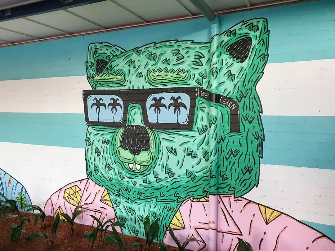 MULGAさんのインスタグラム写真 - (MULGAInstagram)「This here is Warrick the Wombat, part of the mural at Chalmers Road School in Strathfield. ⁣ ⁣ The story of Warrick the Wombat⁣ ⁣ Once there was a wombat called Warrick the Wombat and he was one of the best learners there ever was. When he was little he learned all the stuff at school in the first month that he was meant to learn in the whole year and as you can imagine he finished school way earlier than was normal for a wombat. After he finished school he opened up a school of learning for wombats that was called Warrick the Wombat Centre of Learning and the curriculum was tailored for each student based on their individual requirements. The school was a vast success and many wombats learned lots of good stuff there.⁣ ⁣ The End⁣ ⁣ #mulgatheartist #warrickthewombatcentreforkidswhocantreadgoodandwannalearntodootherstuffgoodtoo #wombat #wombatart」9月20日 16時27分 - mulgatheartist