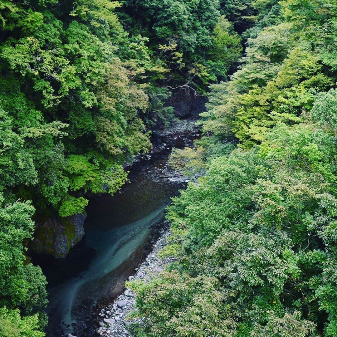japanese forest & web designer　kapiosanさんのインスタグラム写真 - (japanese forest & web designer　kapiosanInstagram)「What my husband is shooting.... beautiful bulue river. . . .  #Japan #Nature #beautiful #naturelovers #nature_perfection #mt #trekking #トレッキング#team_jp_ #nikonphotography  #happy #東京カメラ部 #happy #perfection #forest #green #nikon #walk #lake #bridge #river」9月20日 21時56分 - emiyamada_japan