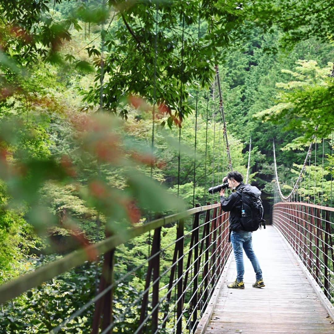 japanese forest & web designer　kapiosanのインスタグラム：「What my husband is shooting.... beautiful bulue river. . . .  #Japan #Nature #beautiful #naturelovers #nature_perfection #mt #trekking #トレッキング#team_jp_ #nikonphotography  #happy #東京カメラ部 #happy #perfection #forest #green #nikon #walk #lake #bridge #river」