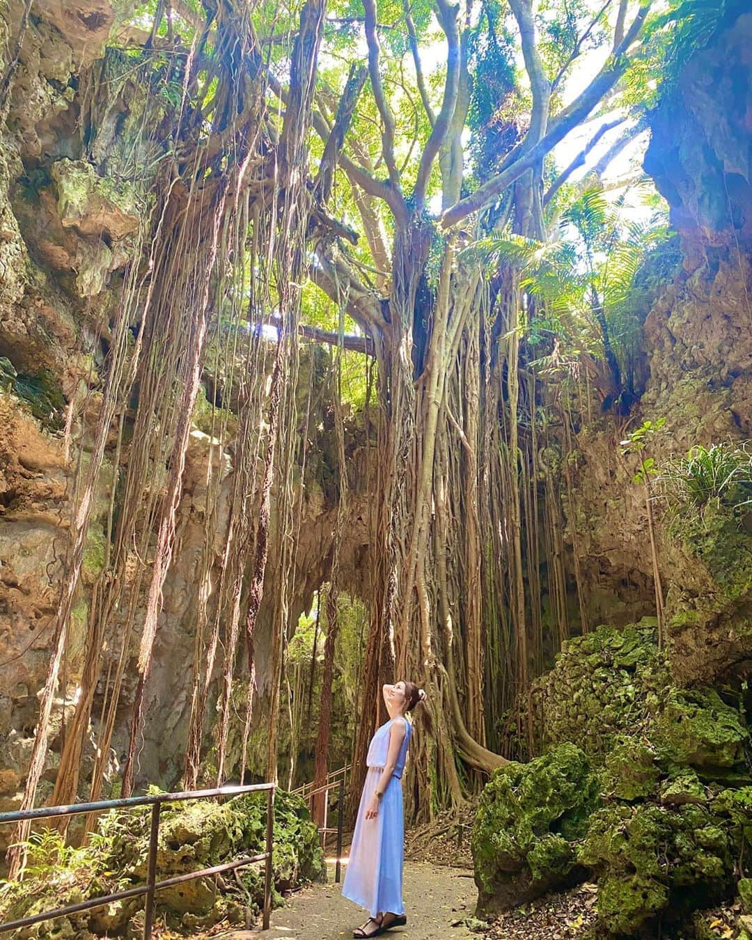 金子実加さんのインスタグラム写真 - (金子実加Instagram)「歩く木🌴🚶‍♀️ 自然の素晴らしさを感じる . . . . . . . . . . #ガンガラーの谷 #がんがらーの谷  #沖縄　#旅行　#旅女 #旅行好きな人と繋がりたい  #自然　#歩く木  #歩く木ガジュマル #世界は美しい #そうだ　#旅に出よう  #金子実加　#mika #singer #観光　#旅行好きな人と繋がりたい #女子旅　#travel #여행　#여행사진　#景點　#การเดินทาง #오키나와」9月20日 16時35分 - kanekomika0127